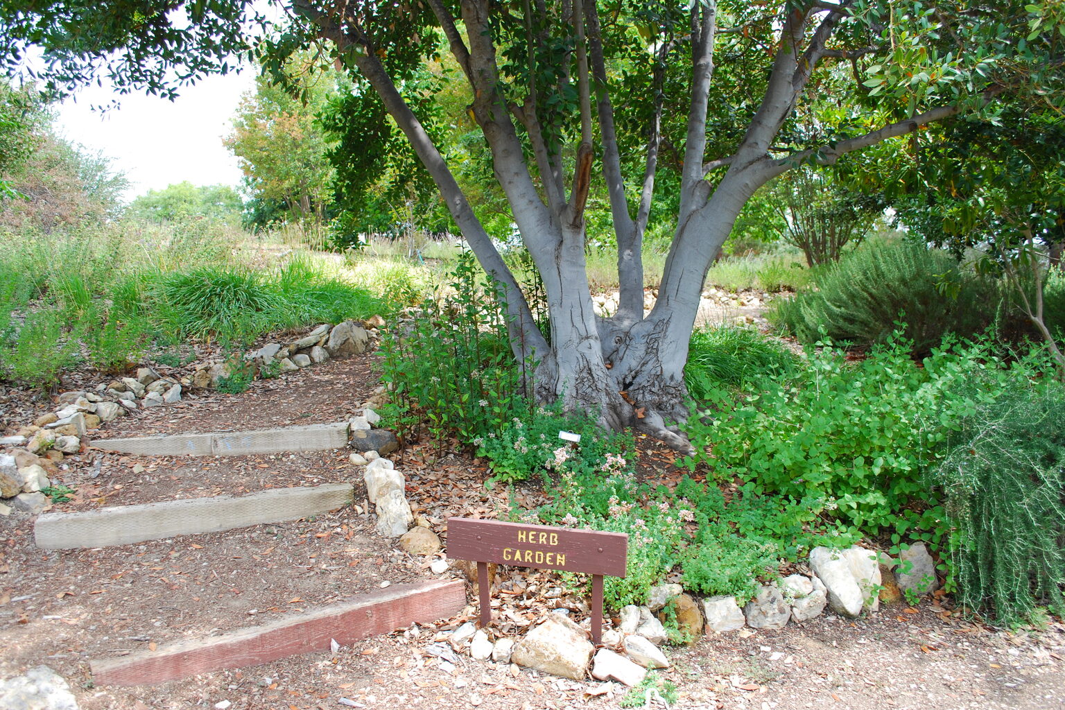 Conejo Valley Botanic Garden, Thousand Oaks, California