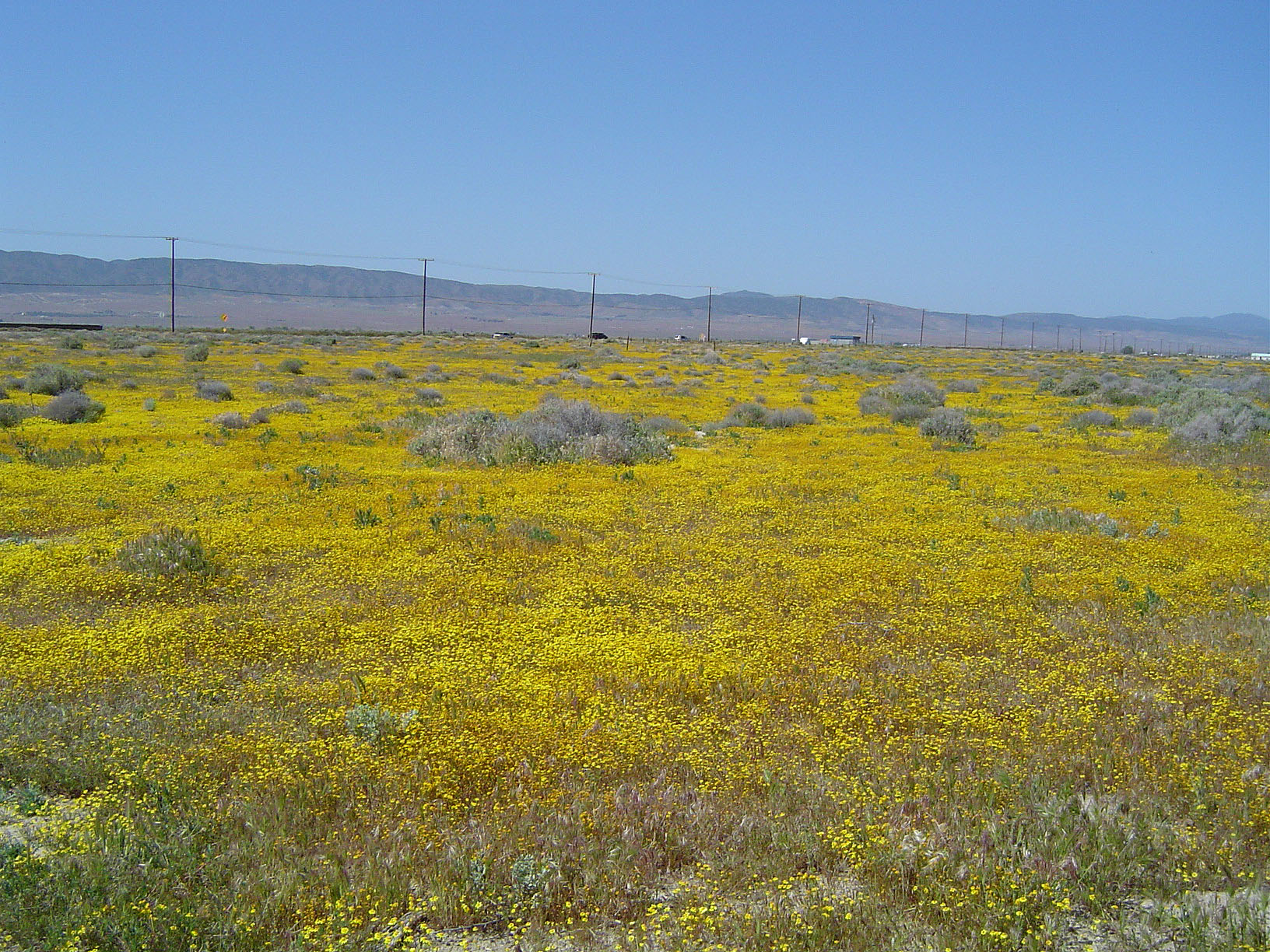Littlerock, California
