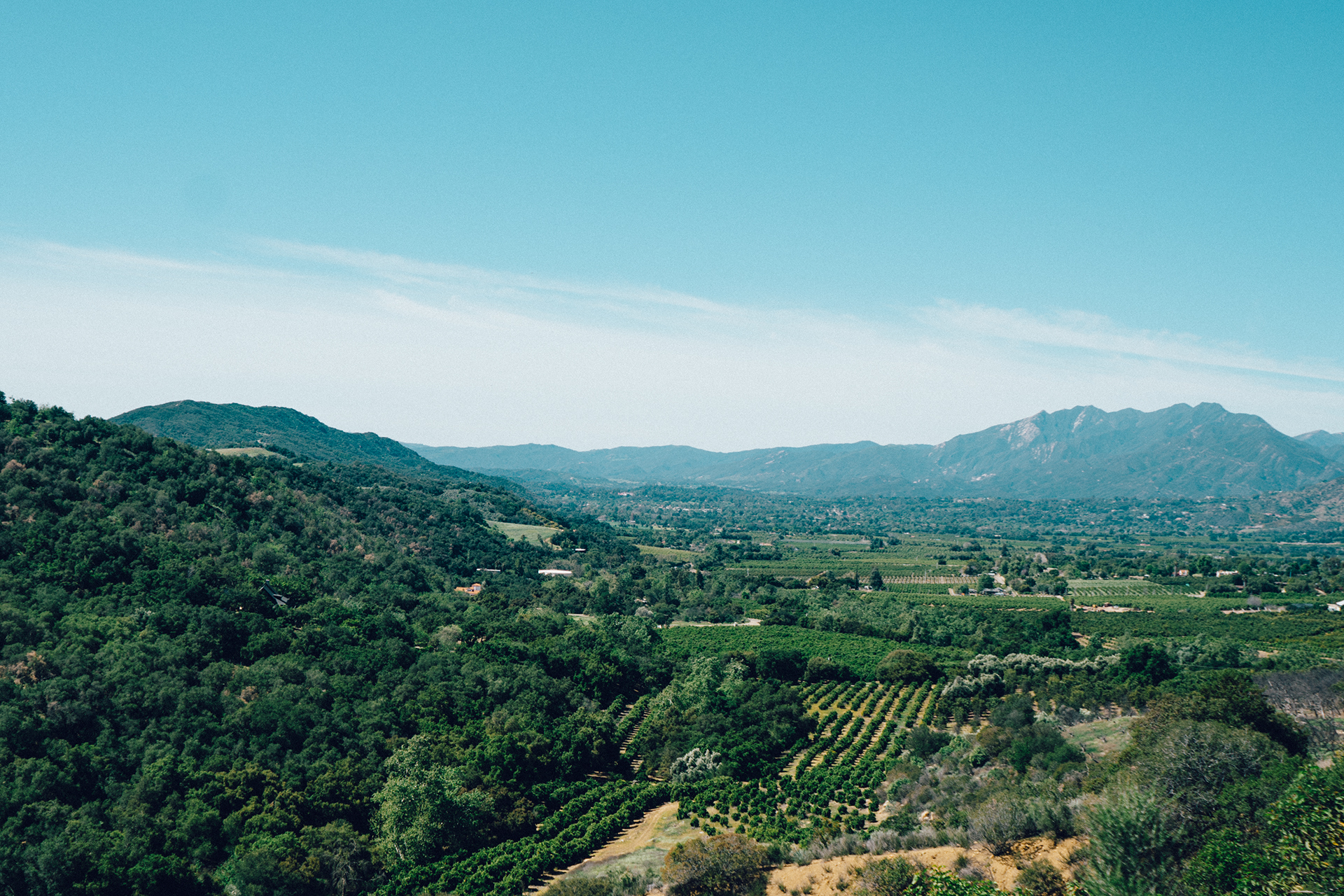 Oak View, California