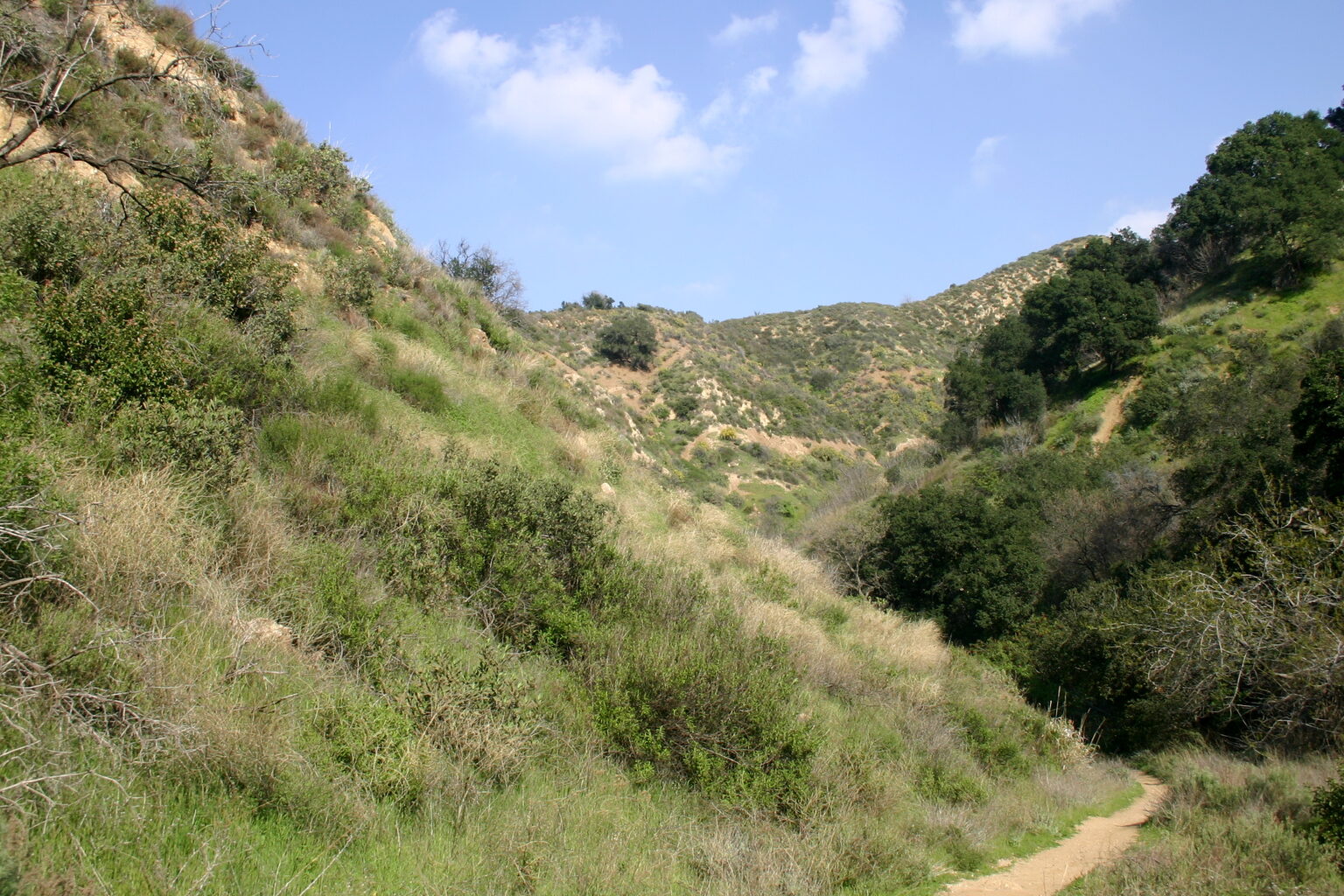 Hospice care in Santa Clarita, California
