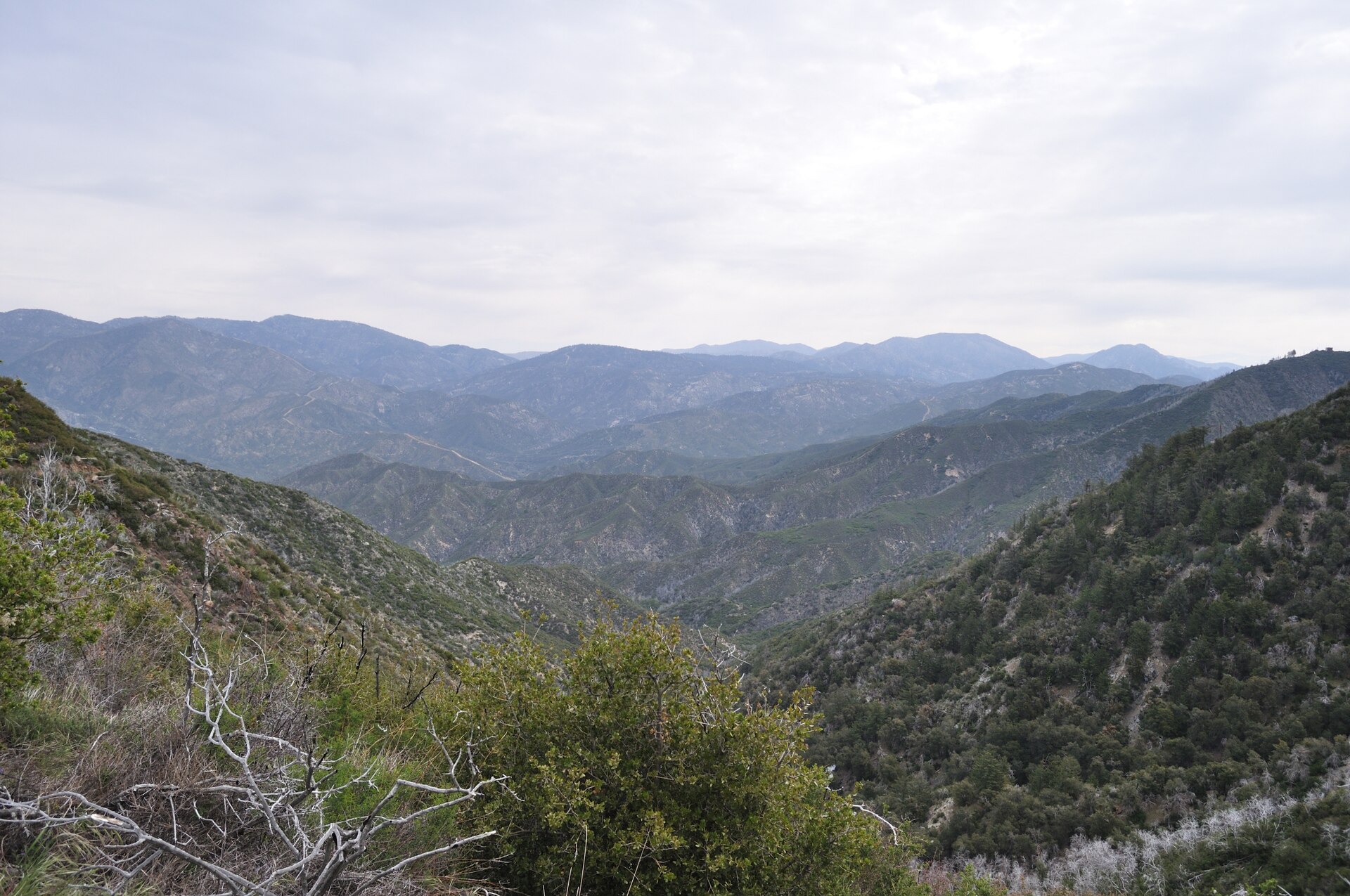 Tujunga, California